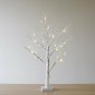 EAMBRITE 2FT 24LT Warm White LED Battery Operated Birch Tree Light Tabletop Tree