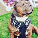 Dog Collar Harness For Large Dogs Adjustable Easy Control Reflective Lightweight