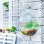 Fish Tank Hanging Wall Mount Vase Aquarium Plant Pot Decor Save Space Acrylic