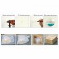 Fish Tank Hanging Wall Mount Vase Aquarium Plant Pot Decor Save Space Acrylic