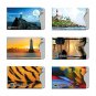 16 RFID Blocking Sleeves in Fun Realistic Designs! (12 Credit Card Holders 4 P