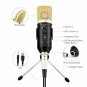 Computer Recording Microphone with Tripod Stand and Realtime Monitoring, Archee
