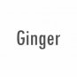 Ginger (Large 4 ounce) Best Essential Oil