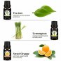 Aromatherapy Essential Oils Set, Top 6 100% Pure Premium Therapeutic Grade Oils