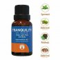 GuruNanda Top 6 Blends Essential Oils Set  100% Pure and Natural Therapeutic Gr