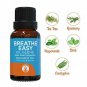 GuruNanda Top 6 Blends Essential Oils Set  100% Pure and Natural Therapeutic Gr