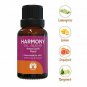 GuruNanda Top 6 Blends Essential Oils Set  100% Pure and Natural Therapeutic Gr