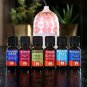 GuruNanda Top 6 Blends Essential Oils Set  100% Pure and Natural Therapeutic Gr