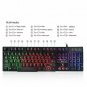 Rii RK100 Multiple Color Rainbow LED Backlit Large Size USB Wired Mechanical Fe