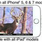 BoneView SD MicroSD Card Reader for Apple iOS, Trail Cam Viewer Plays Deer Hunti