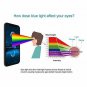 Anti Blue Light Screen Protector for iPhone XR 6.1 Inch,Pavoscreen iPhone XR Pro