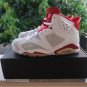 Air Jordan 6 Retro Alternate sneakers