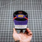2024 & 2025  sb dunk low acg terra purple black red
