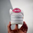2024 & 2025  sb dunk low âbe trueâ dr48761