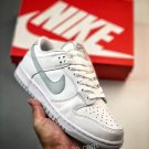 2024 & 2025  dunk low whitepure platinum dv0831101