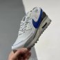 Men & Women air max 90 terrascape pure platinum hyper royal dv74132