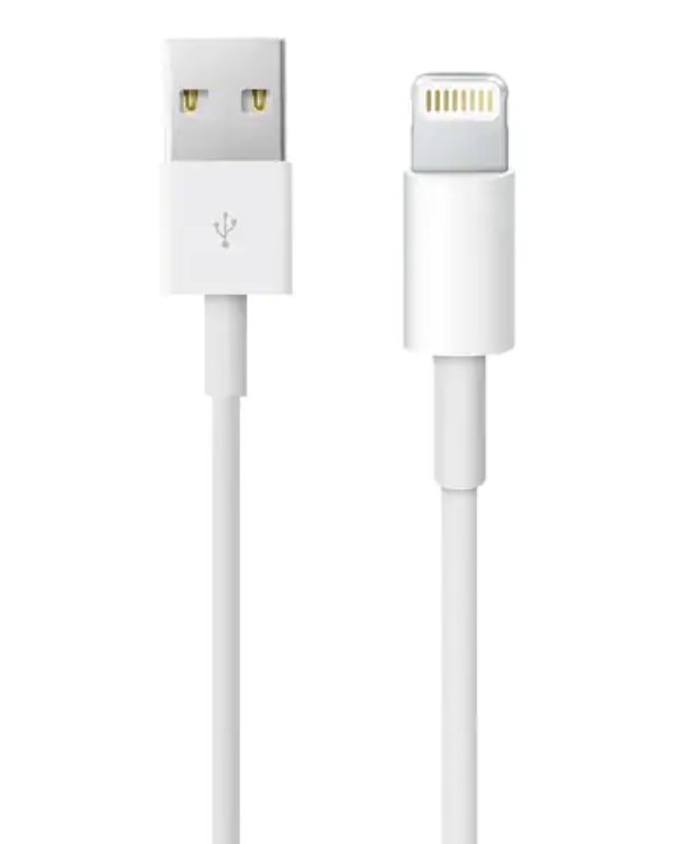 iPhone Charger