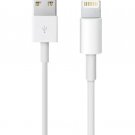 iPhone Charger