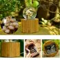 Crystal Ball With Flowers Music Box Castle In The Sky Flower in Glass Home Decor