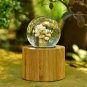 Crystal Ball With Flowers Music Box Castle In The Sky Flower in Glass Home Decor
