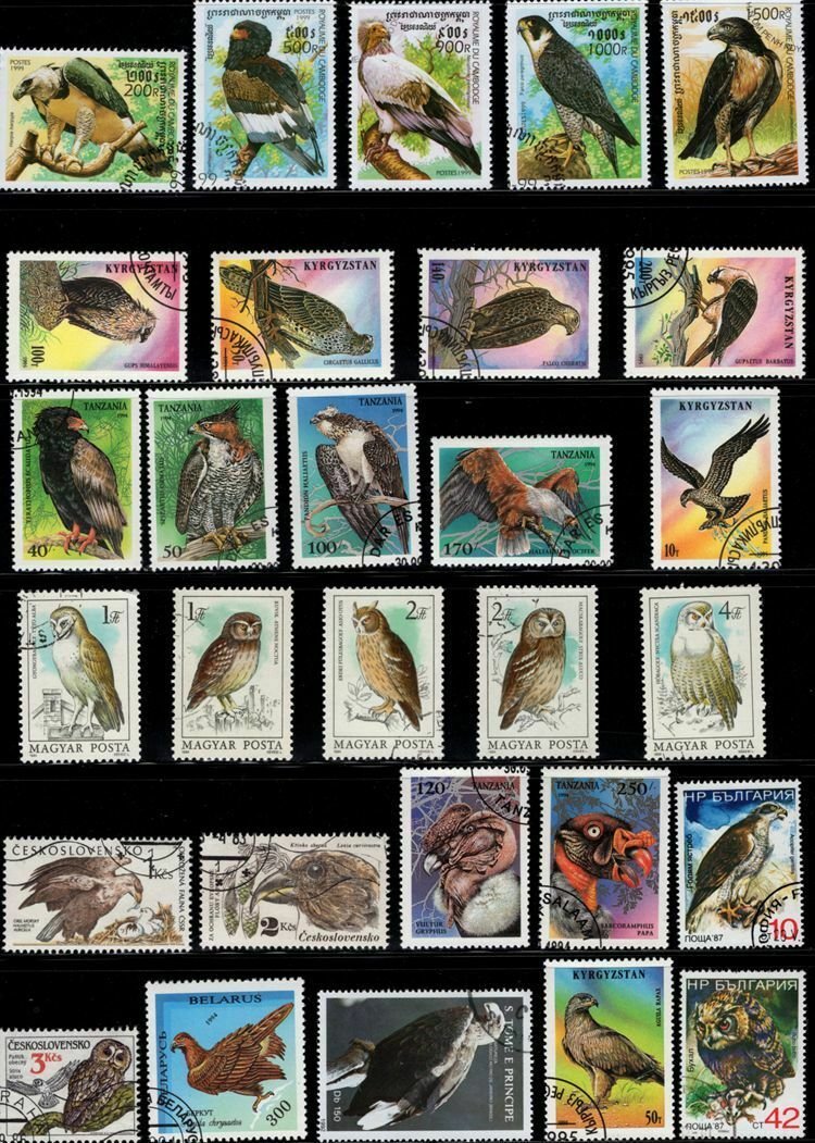 50Pcs Bird Postage Stamps Different Country with Post Mark No Repeat Collection
