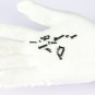 720 Pcs Small Mini Screw Set m1.4 m1.7 m2 m2.5 m3 Carbon Computer Laptop Screws