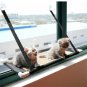 Kitten Hammock Bed Mount Window 10kg Cat Pet Bed Mat Window Suction Lounger Sofa