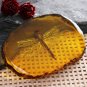 Chinese Amber Dragonfly Fossil Insects Yallow Amber Collection Manual Polishing
