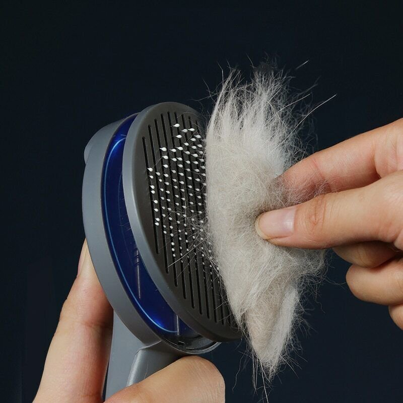 Cat Hair Cleaner Pet Dog Hair Special Needle Comb Cat Comb Dog Comb Hair Remove