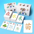 Learning Chinese Words Language 250Pcs Flash Cards Kids Baby Learning Card Toy