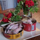 Traditional Swedish SURSTROMMING Sweden Smelly Stink Fish Can Prank Fermented