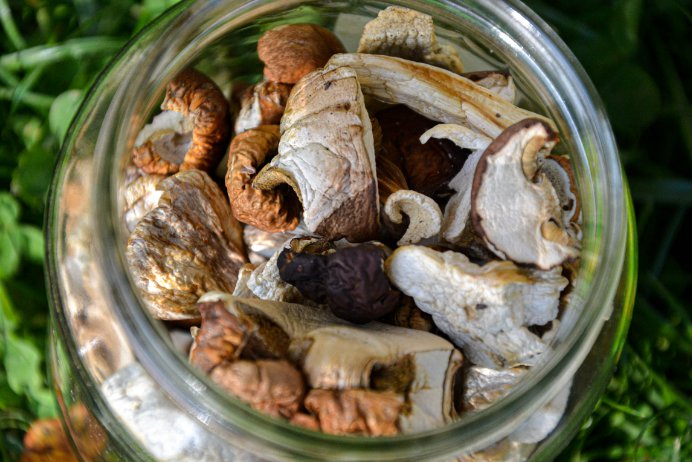 50g 1.8Oz Natural Wild Forest Mushrooms Dried Boletus for Sups Dishes Sauce Stew
