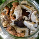 50g 1.8Oz Natural Wild Forest Mushrooms Dried Boletus for Sups Dishes Sauce Stew