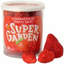 19g Kids Freeze Dried Super Garden Strawberries Lyophilized Europe Berries Snack