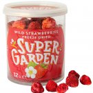 12g SuperGarden Freeze Dried Wild Strawberries Lyophilized EU Children Vitamins