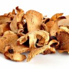 50g 1.8 Oz Dried Chanterelle Wild Forest Chanterelles Mushrooms from Lithuania