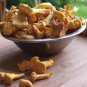 50g 1.8 Oz Dried Chanterelle Wild Forest Chanterelles Mushrooms from Lithuania