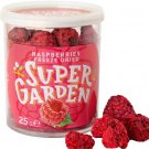 25g Kids Freeze Dried Raspberries Children Lyophilized Europe Berries Snacks