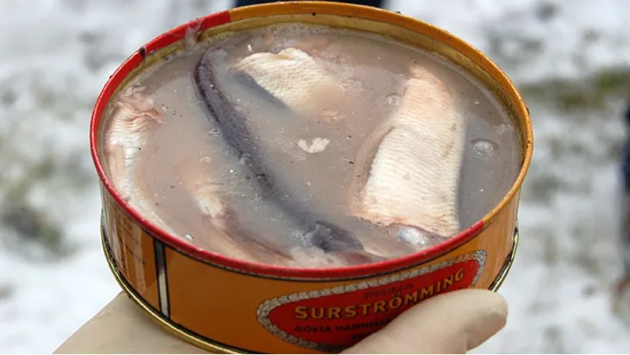 Surstromming Fermented Herring Traditional Swedish Fish Bachelor Party Can Prank