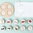 Animals Life Cycle Board Lifestyle Stages Teaching Educational Babies Kids Toys