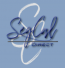 SegCalDirect