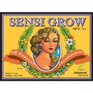10 Liter - Sensi Grow - Part A and B - Veg Nutrient - pH Perfect Technology - Advanced Nutrients 627