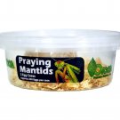 2 LIVE  Pray Mantids Eggs  (20