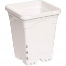 Active Aqua 7"x7" Square White Pot, 9" Tall, Pack Of 50