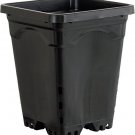 Active Aqua HG6X6SB 6"x6" Square Pot (Case of 50), 8", Black