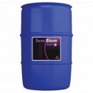 Advanced Nutrients pH Perfect Sensi Bloom Part A 208L