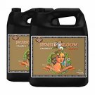 Advanced Nutrients Sensi Coco Bloom 10 Liter A and B