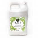 Age Old Kelp, 1 gal