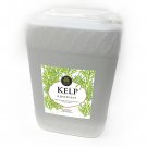Age Old Kelp, 6 gal