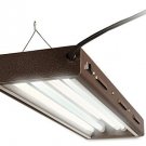 Agrobrite Designer T5, FLP 22, 48W 2 Foot, 2-Tube Fixture with Lamps